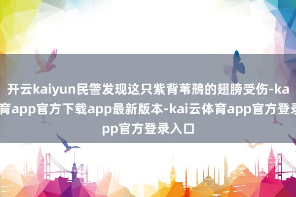开云kaiyun民警发现这只紫背苇鳽的翅膀受伤-kai云体育app官方下载app最新版本-kai云体育app官方登录入口