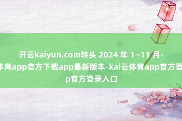 开云kaiyun.com转头 2024 年 1—11 月-kai云体育app官方下载app最新版本-kai云体育app官方登录入口