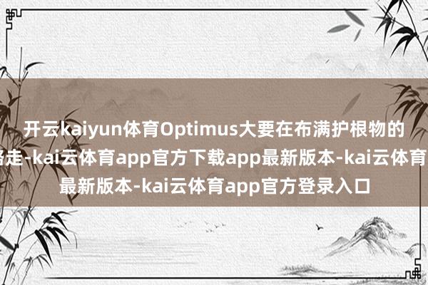 开云kaiyun体育Optimus大要在布满护根物的山丘陡坡上稳走路走-kai云体育app官方下载app最新版本-kai云体育app官方登录入口