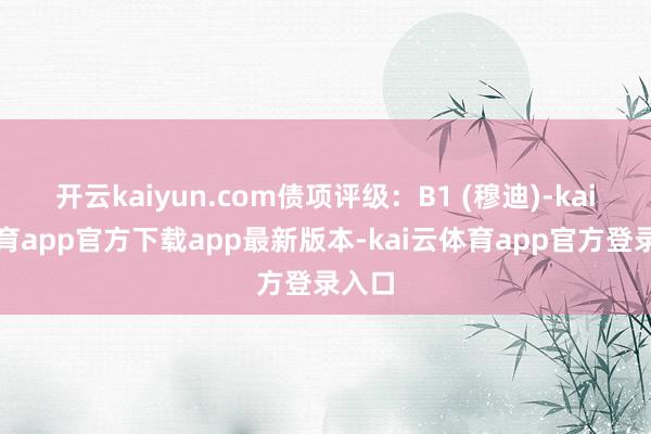 开云kaiyun.com债项评级:B1 (穆迪)-kai云体育app官方下载app最新版本-kai云体育app官方登录入口