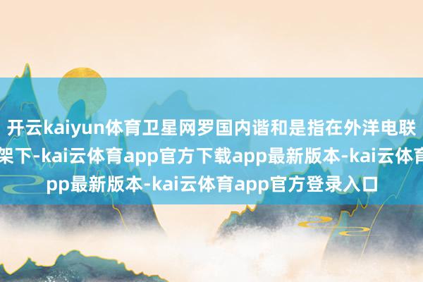 开云kaiyun体育卫星网罗国内谐和是指在外洋电联《无线电轨则》框架下-kai云体育app官方下载app最新版本-kai云体育app官方登录入口